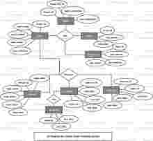 Export Order Tracking System ER Diagram