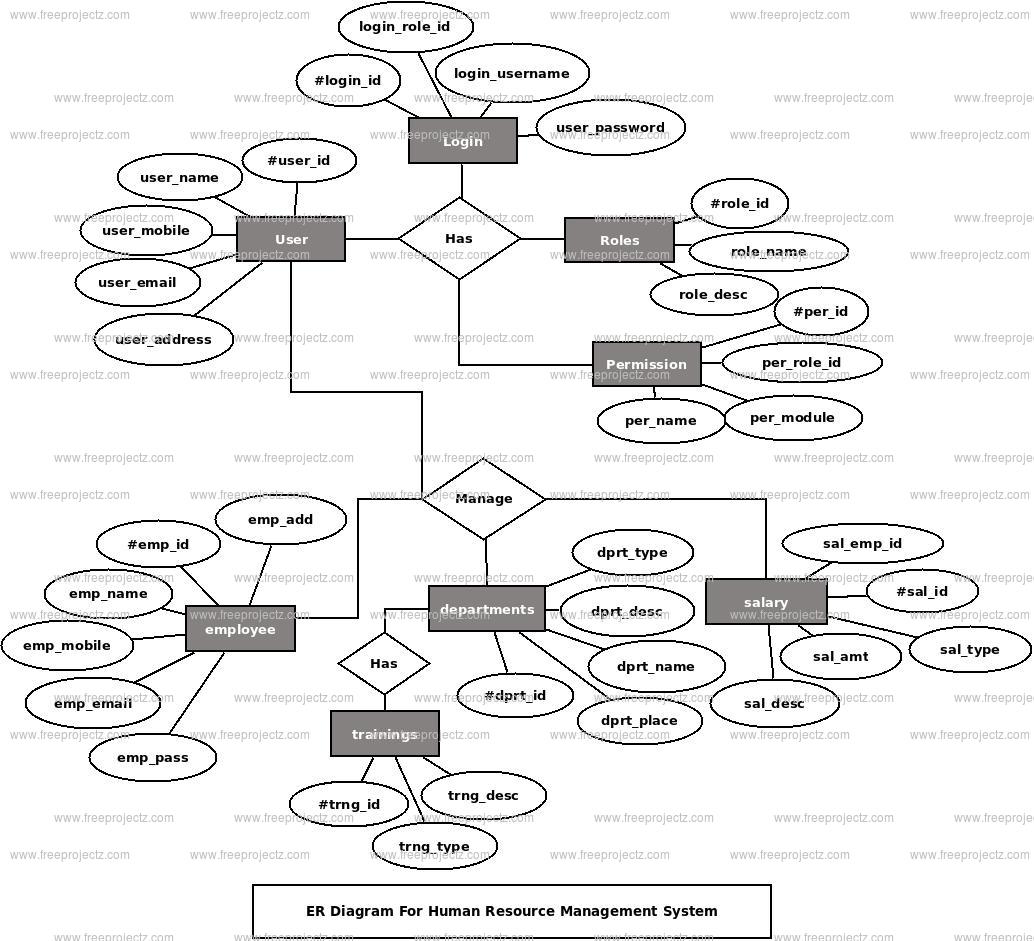 Human Resource Management System ER Diagram Academic Projects